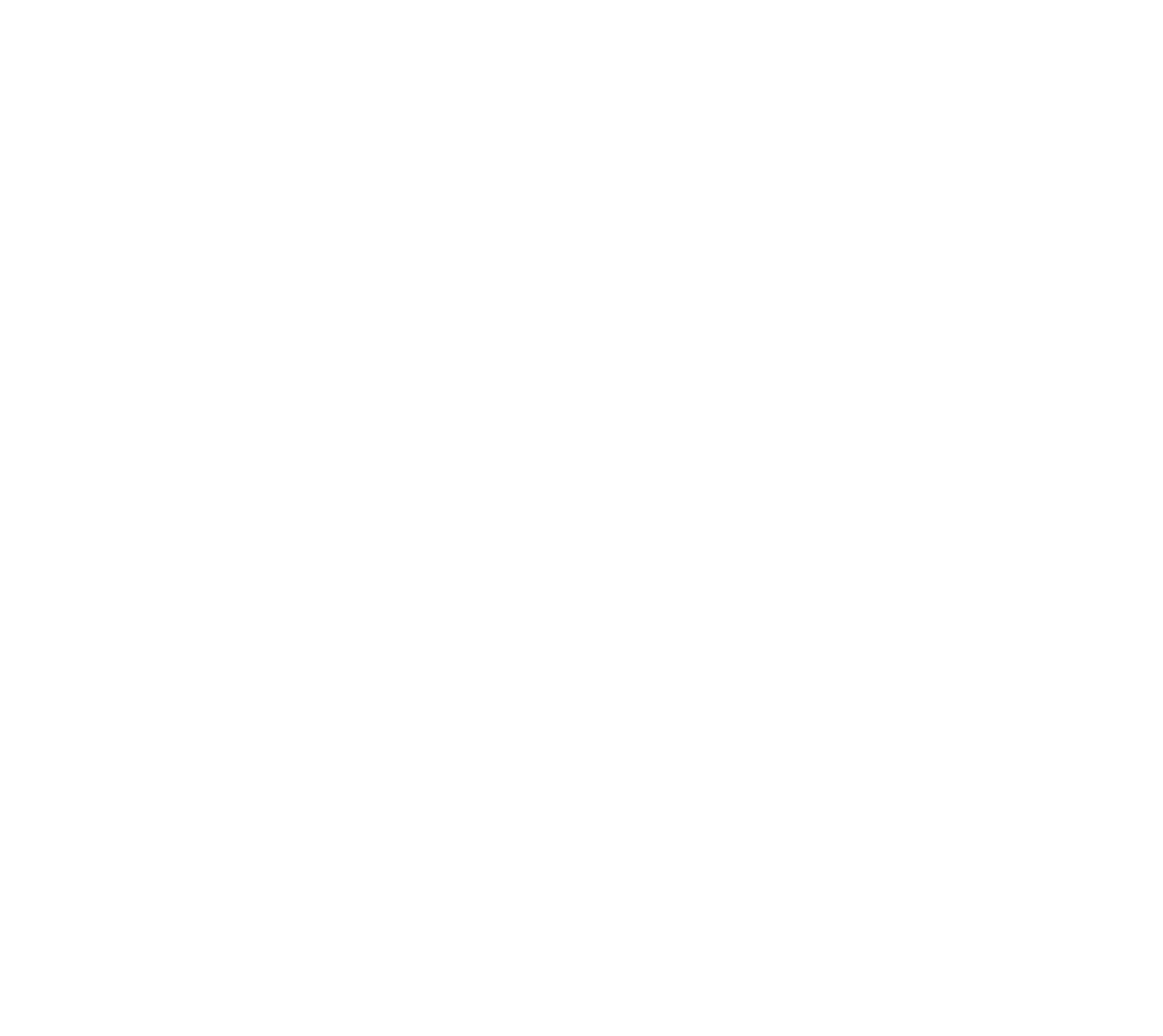 MyFlight Connect
